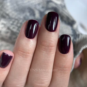 Manucure Russe + Pose VSP – 1h