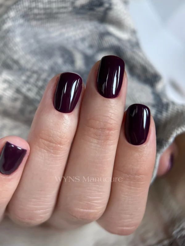 Manucure Russe + Pose VSP - 1h