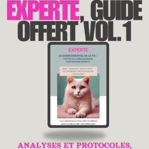 Experte Volume 1 – Devenir efficace